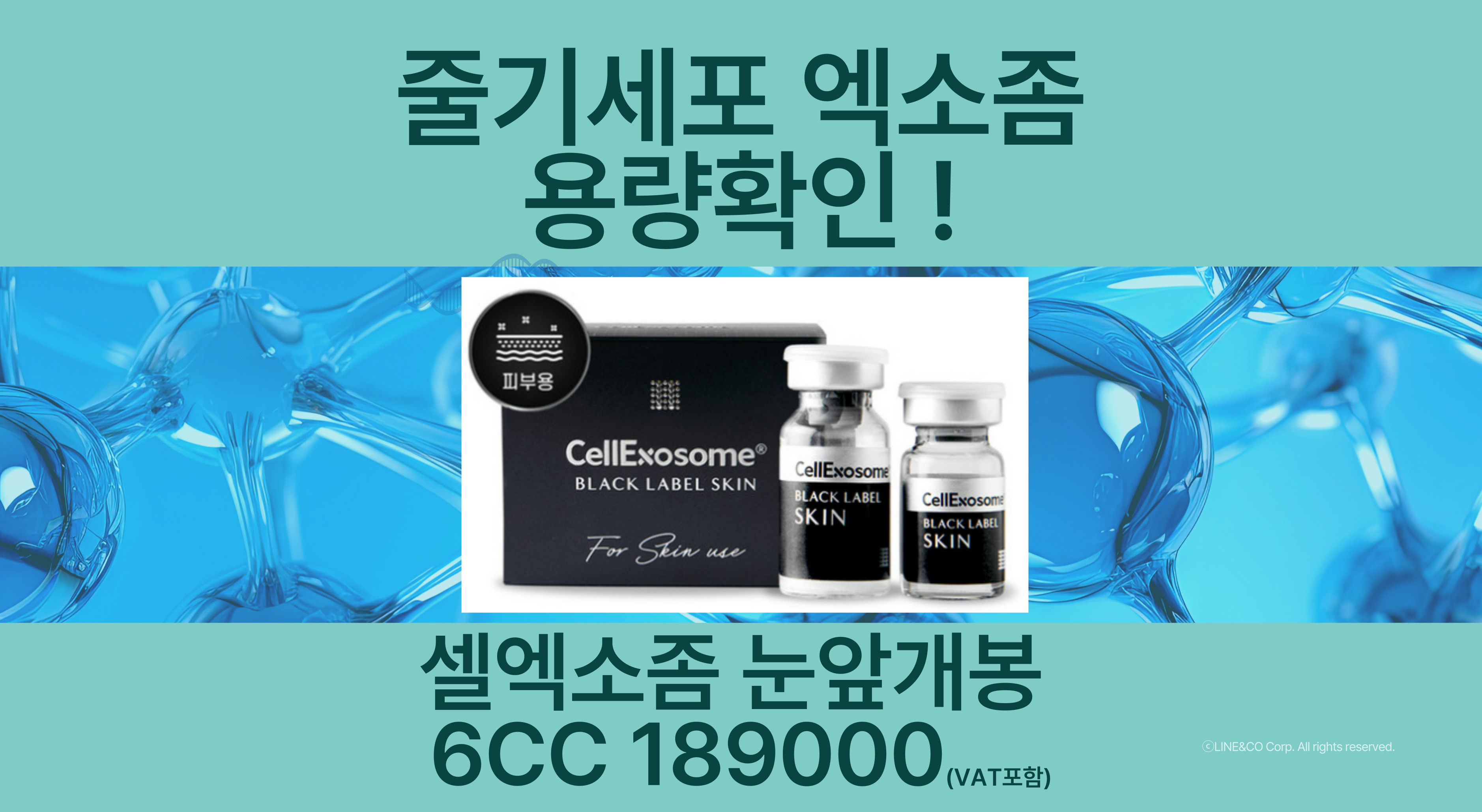 엑소좀 이벤트